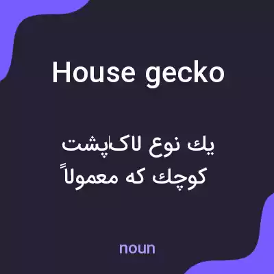 معنی house gecko به فارسی