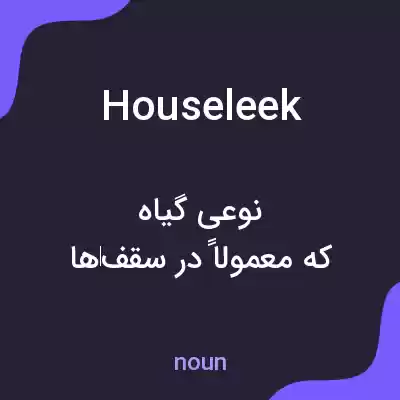 معنی houseleek به فارسی