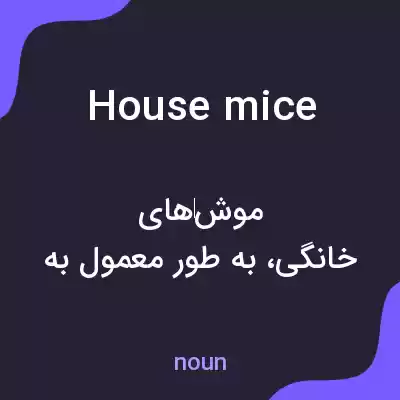 معنی house mice به فارسی معنی house mice به فارسی