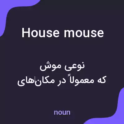 معنی house mouse به فارسی معنی house mouse به فارسی