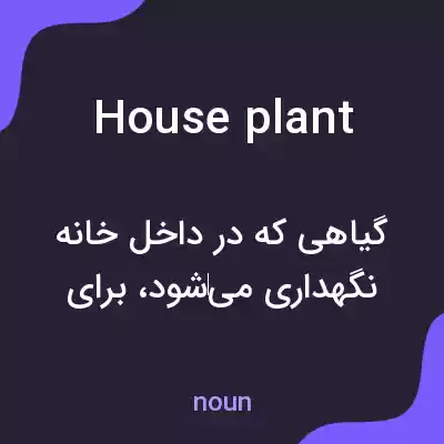 معنی house plant به فارسی معنی house plant به فارسی