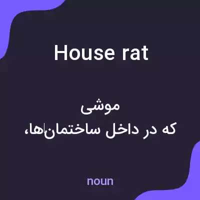 معنی house rat به فارسی معنی house rat به فارسی