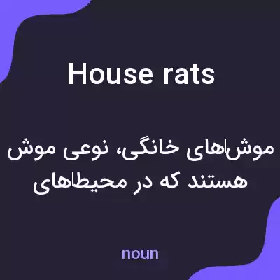 معنی house rats به فارسی معنی house rats به فارسی
