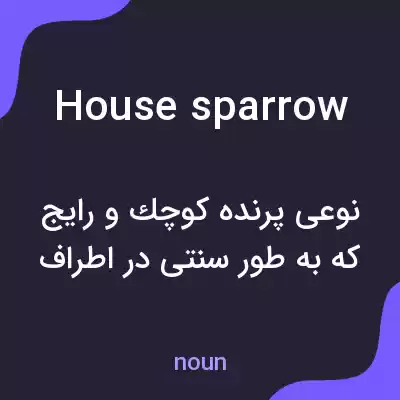 معنی house sparrow به فارسی معنی house sparrow به فارسی