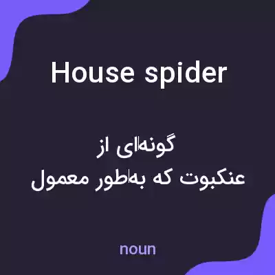 معنی house spider به فارسی معنی house spider به فارسی