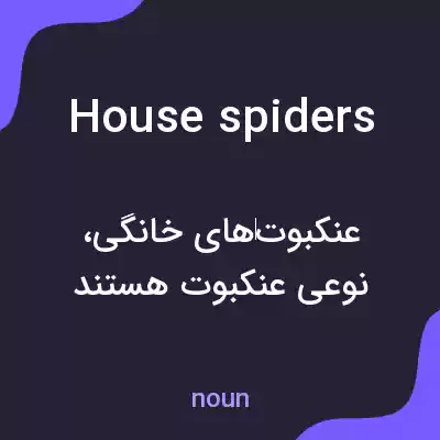 معنی house spiders به فارسی