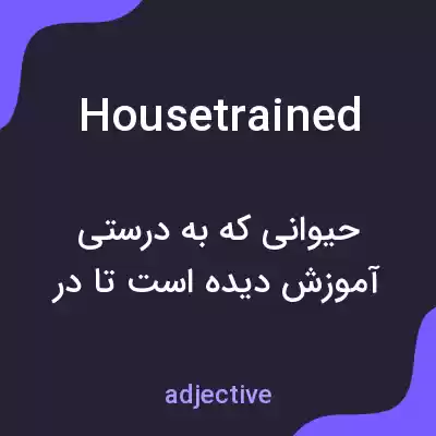 معنی housetrained به فارسی معنی housetrained به فارسی