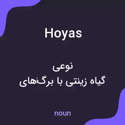 معنی hoyas به فارسی معنی hoyas به فارسی