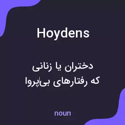 معنی hoydens به فارسی معنی hoydens به فارسی