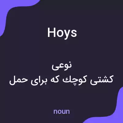 معنی hoys به فارسی معنی hoys به فارسی