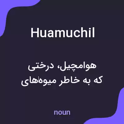 معنی huamuchil به فارسی معنی huamuchil به فارسی