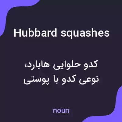 معنی hubbard squashes به فارسی معنی hubbard squashes به فارسی