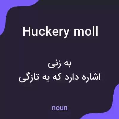 معنی huckery moll به فارسی معنی huckery moll به فارسی