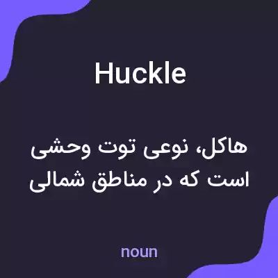معنی huckle به فارسی معنی huckle به فارسی