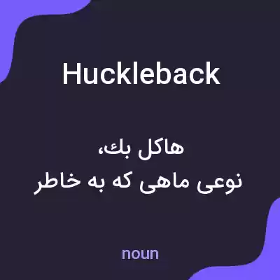 معنی huckleback به فارسی معنی huckleback به فارسی
