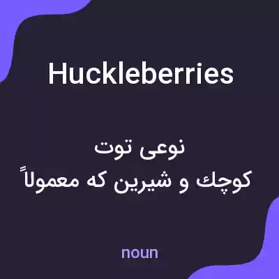 معنی huckleberries به فارسی معنی huckleberries به فارسی