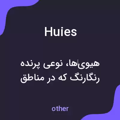 معنی huies به فارسی معنی huies به فارسی