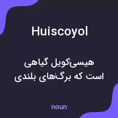 معنی huiscoyol به فارسی معنی huiscoyol به فارسی