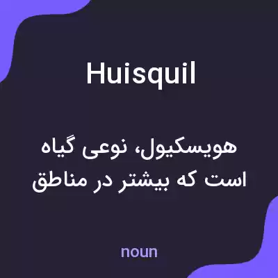 معنی huisquil به فارسی معنی huisquil به فارسی