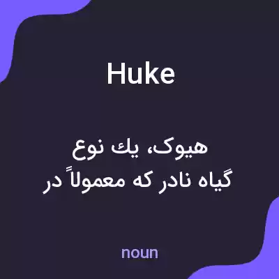 معنی huke به فارسی معنی huke به فارسی
