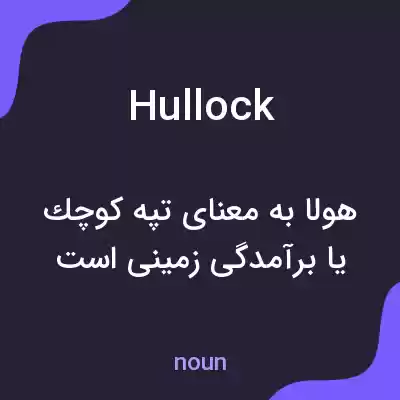 معنی hullock به فارسی معنی hullock به فارسی