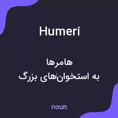 معنی humeri به فارسی معنی humeri به فارسی