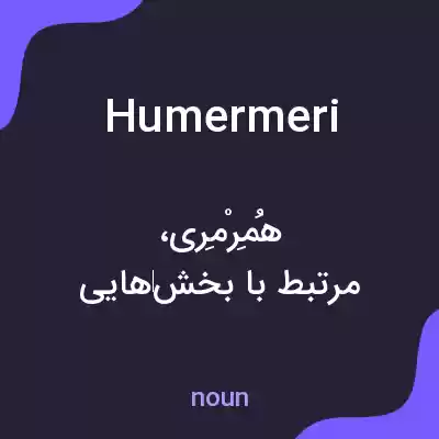 معنی humermeri به فارسی معنی humermeri به فارسی