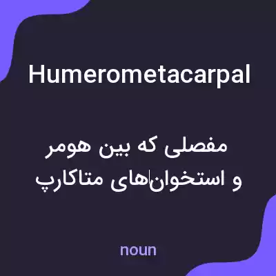 معنی humerometacarpal به فارسی معنی humerometacarpal به فارسی