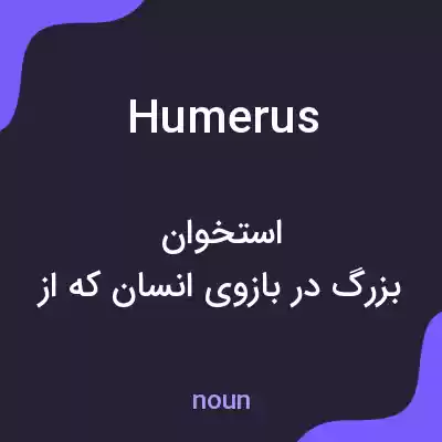 معنی humerus به فارسی معنی humerus به فارسی