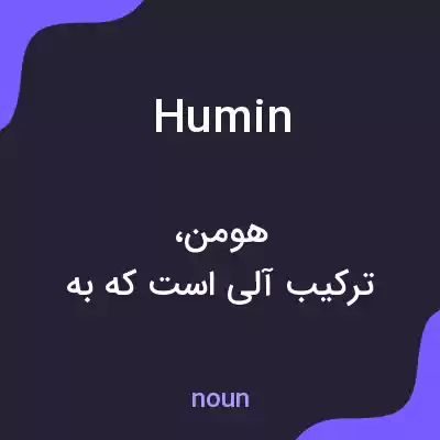 معنی humin به فارسی معنی humin به فارسی