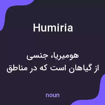 معنی humiria به فارسی معنی humiria به فارسی
