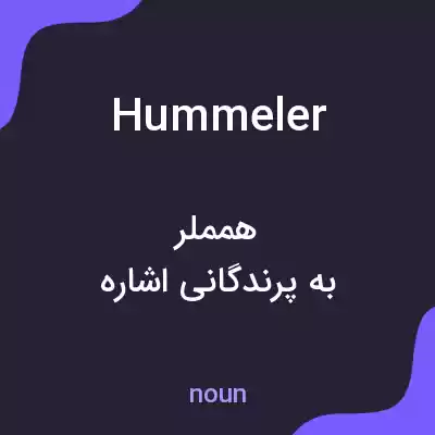 معنی hummeler به فارسی
