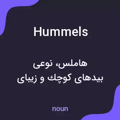 معنی hummels به فارسی معنی hummels به فارسی