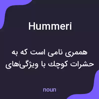 معنی hummeri به فارسی معنی hummeri به فارسی