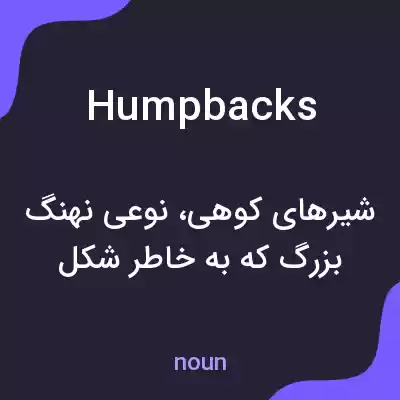 معنی humpbacks به فارسی معنی humpbacks به فارسی