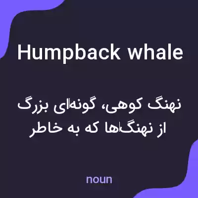 معنی humpback whale به فارسی