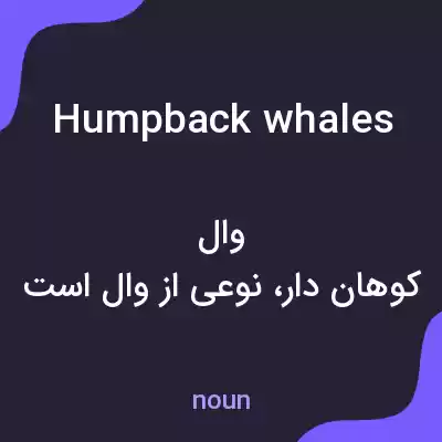 معنی humpback whales به فارسی معنی humpback whales به فارسی