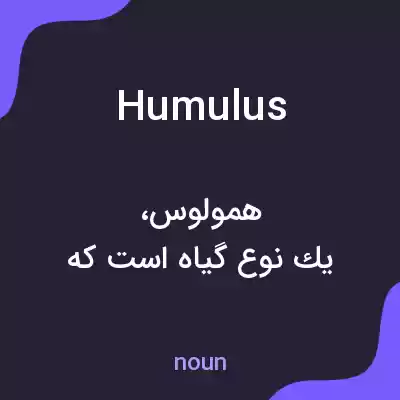 معنی humulus به فارسی معنی humulus به فارسی
