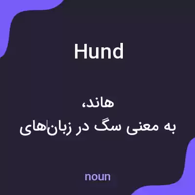 معنی hund به فارسی معنی hund به فارسی