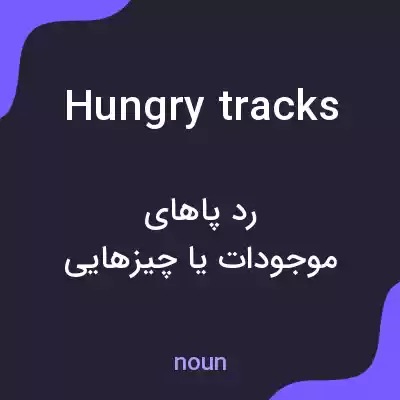 معنی hungry tracks به فارسی معنی hungry tracks به فارسی