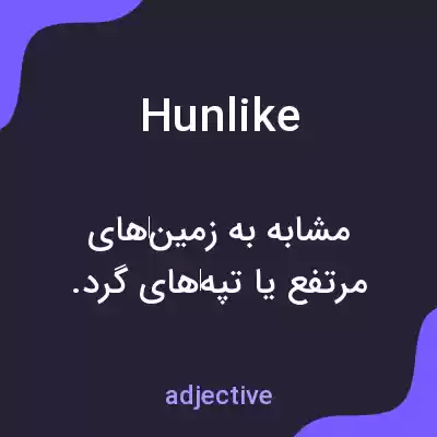 معنی hunlike به فارسی معنی hunlike به فارسی