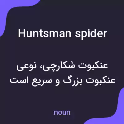 معنی huntsman spider به فارسی معنی huntsman spider به فارسی
