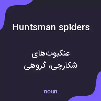 معنی huntsman spiders به فارسی معنی huntsman spiders به فارسی