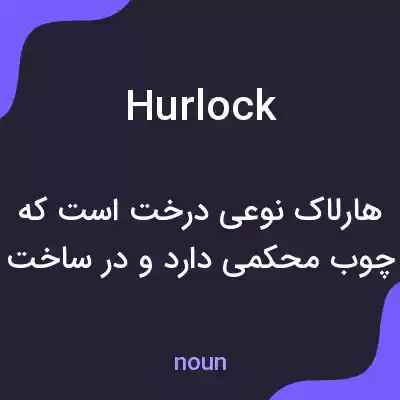 معنی hurlock به فارسی معنی hurlock به فارسی