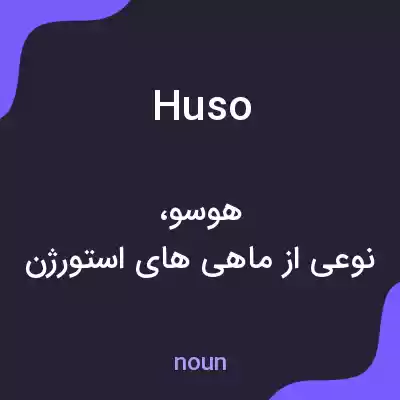 معنی huso به فارسی معنی huso به فارسی