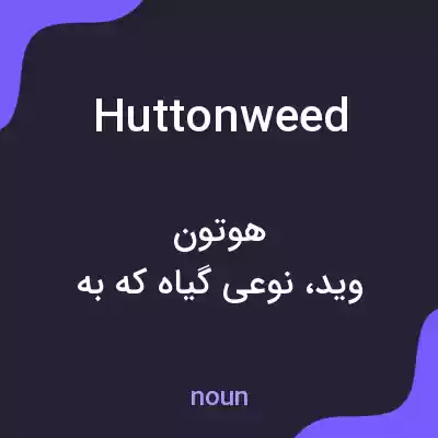 معنی huttonweed به فارسی