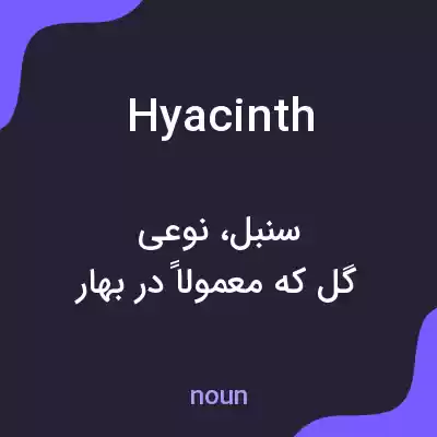 معنی hyacinth به فارسی معنی hyacinth به فارسی