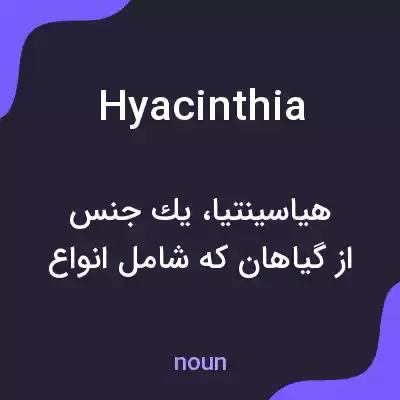 معنی hyacinthia به فارسی معنی hyacinthia به فارسی