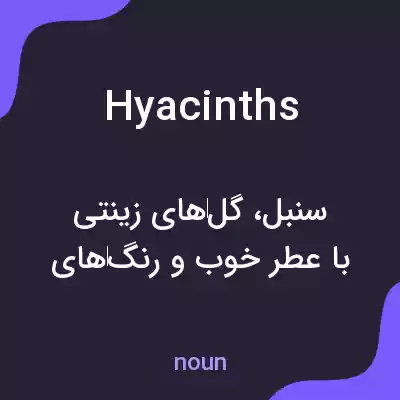 معنی hyacinths به فارسی معنی hyacinths به فارسی