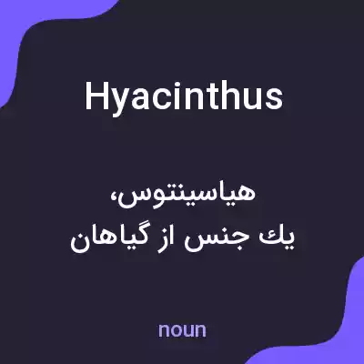 معنی hyacinthus به فارسی معنی hyacinthus به فارسی